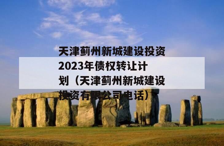 天津蓟州新城建设投资2023年债权转让计划（天津蓟州新城建设投资有限公司电话）