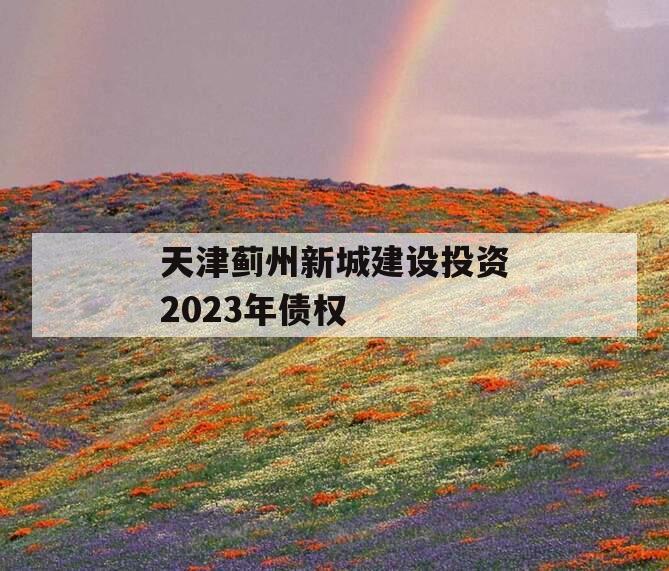 天津蓟州新城建设投资2023年债权