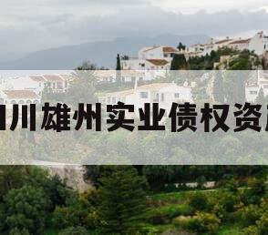 四川雄州实业债权资产
