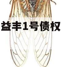 邓州益丰1号债权资产计划