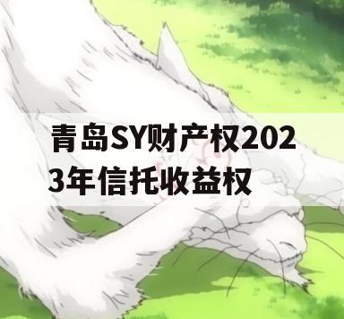 青岛SY财产权2023年信托收益权