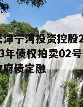 天津宁河投资控股2023年债权拍卖02号政府债定融