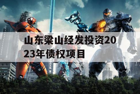 山东梁山经发投资2023年债权项目