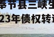 重庆奉节县三峡生态发展2023年债权转让项目