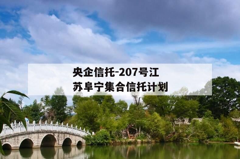 央企信托-207号江苏阜宁集合信托计划
