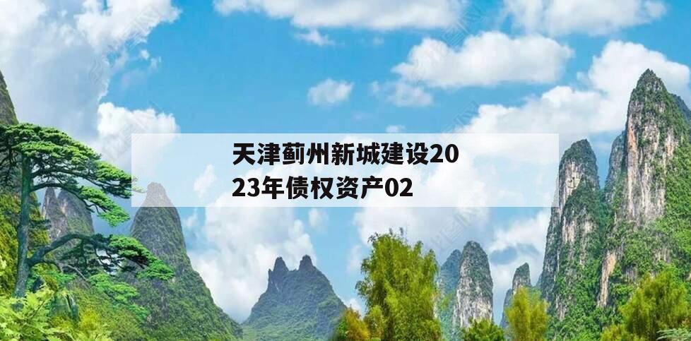 天津蓟州新城建设2023年债权资产02