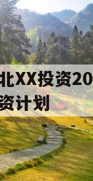 湖北XX投资2023融资计划