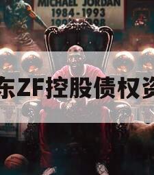山东ZF控股债权资产