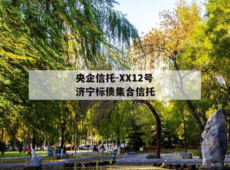 央企信托-XX12号济宁标债集合信托