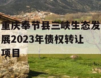 重庆奉节县三峡生态发展2023年债权转让项目