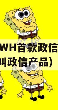 FCWH首款政信(什么叫政信产品)