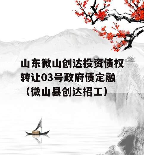 山东微山创达投资债权转让03号政府债定融（微山县创达招工）