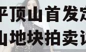 河南平顶山首发定融（平顶山地块拍卖详情）