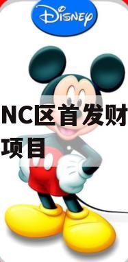重庆NC区首发财产权信托项目