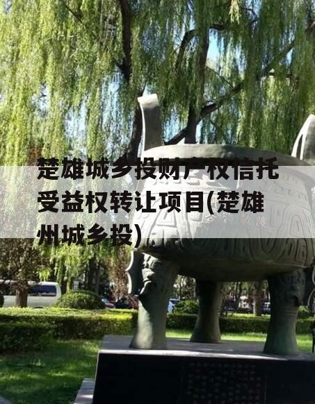 楚雄城乡投财产权信托受益权转让项目(楚雄州城乡投)