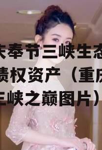 重庆奉节三峡生态2023债权资产（重庆奉节三峡之巅图片）