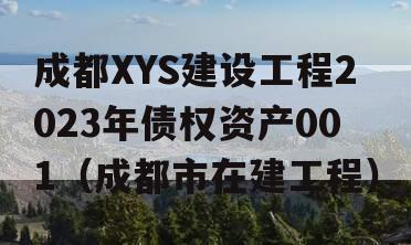 成都XYS建设工程2023年债权资产001（成都市在建工程）