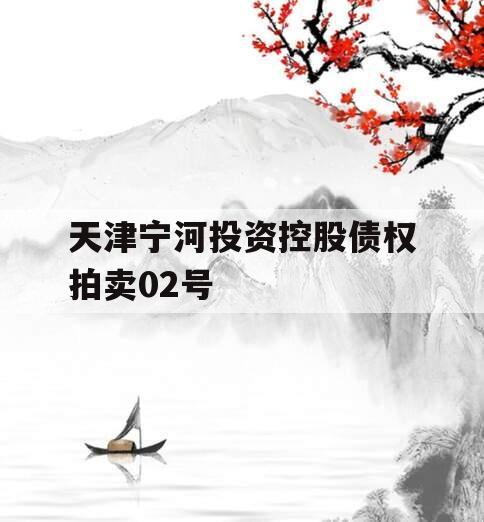 天津宁河投资控股债权拍卖02号