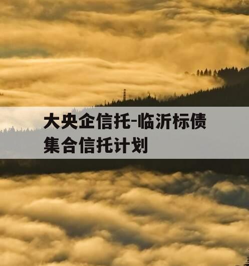 大央企信托-临沂标债集合信托计划