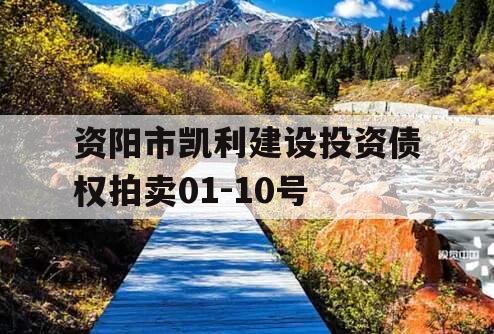 资阳市凯利建设投资债权拍卖01-10号