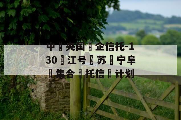 中‮央国‬企信托-130‮江号‬苏‮宁阜‬集合‮托信‬计划