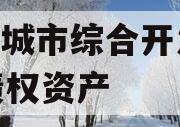 枣庄城市综合开发2023债权资产