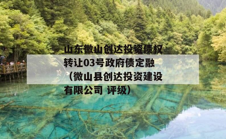 山东微山创达投资债权转让03号政府债定融（微山县创达投资建设有限公司 评级）