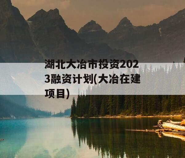 湖北大冶市投资2023融资计划(大冶在建项目)
