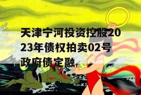 天津宁河投资控股2023年债权拍卖02号政府债定融