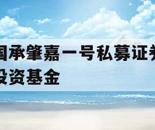 国承肇嘉一号私募证券投资基金