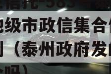 央企信托-583号泰州地级市政信集合信托计划（泰州政府发的债安全吗）