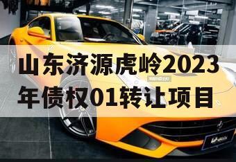 山东济源虎岭2023年债权01转让项目