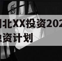 湖北XX投资2023融资计划