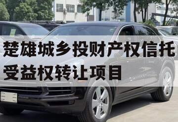 楚雄城乡投财产权信托受益权转让项目