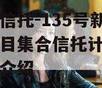 央企信托-135号新沂项目集合信托计划的简单介绍