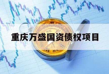 重庆万盛国资债权项目