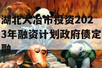 湖北大冶市投资2023年融资计划政府债定融