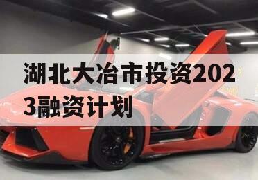 湖北大冶市投资2023融资计划