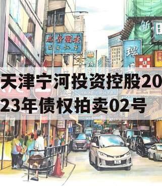 天津宁河投资控股2023年债权拍卖02号