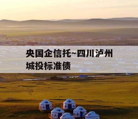 央国企信托～四川泸州城投标准债