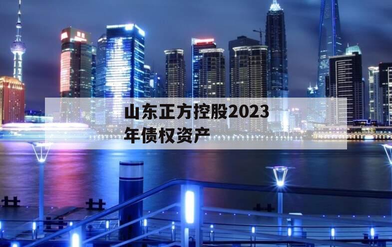 山东正方控股2023年债权资产