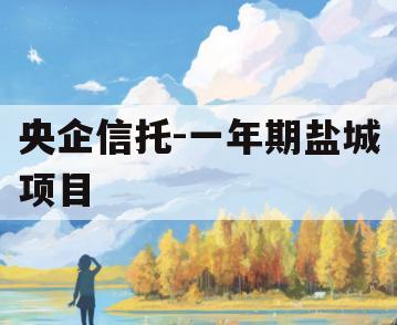 央企信托-一年期盐城项目
