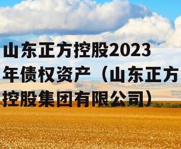 山东正方控股2023年债权资产（山东正方控股集团有限公司）
