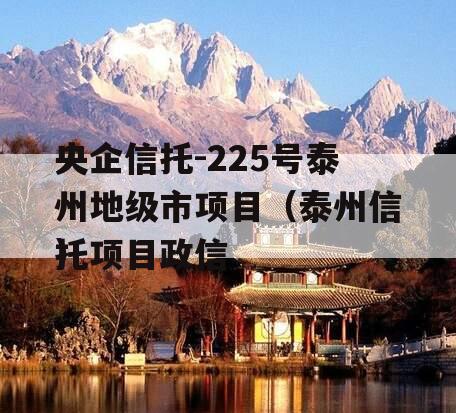 央企信托-225号泰州地级市项目（泰州信托项目政信
）