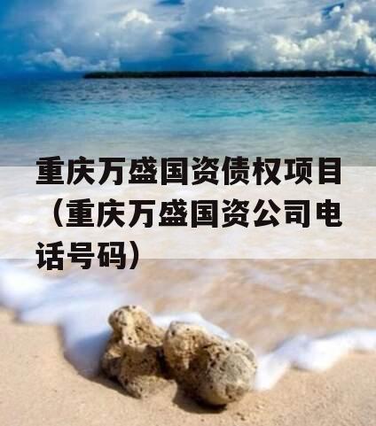 重庆万盛国资债权项目（重庆万盛国资公司电话号码）