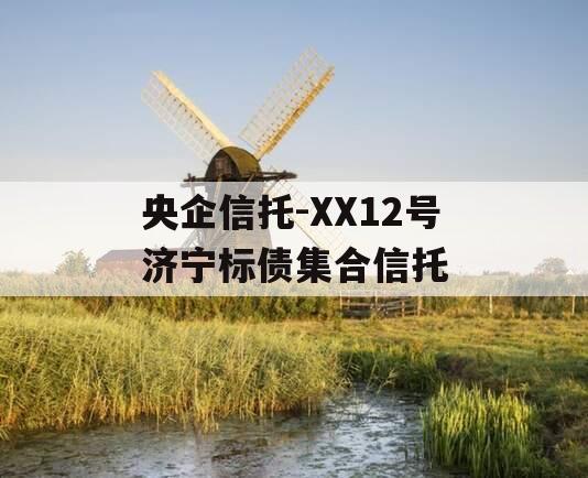 央企信托-XX12号济宁标债集合信托