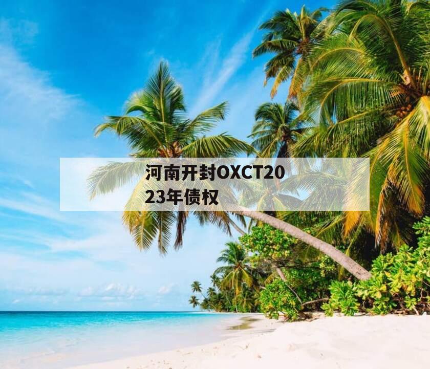 河南开封OXCT2023年债权