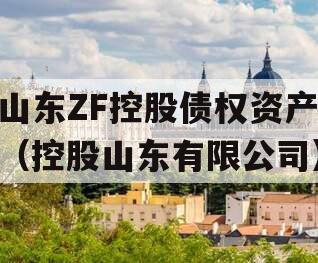 山东ZF控股债权资产（控股山东有限公司）