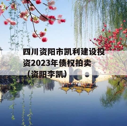 四川资阳市凯利建设投资2023年债权拍卖（资阳李凯）