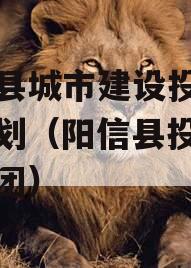 阳信县城市建设投资债权计划（阳信县投资建设集团）